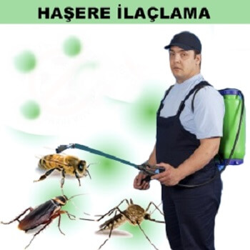Kula Böcek İlaçlama